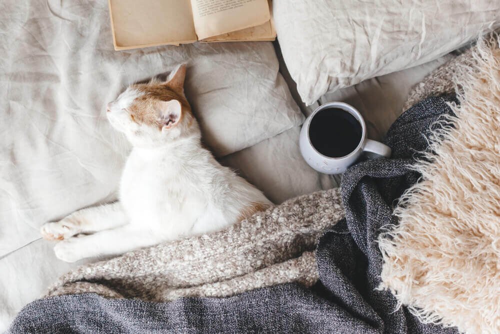 The Ayurvedic Evening Routine + Rituals For a Good Nights Sleep